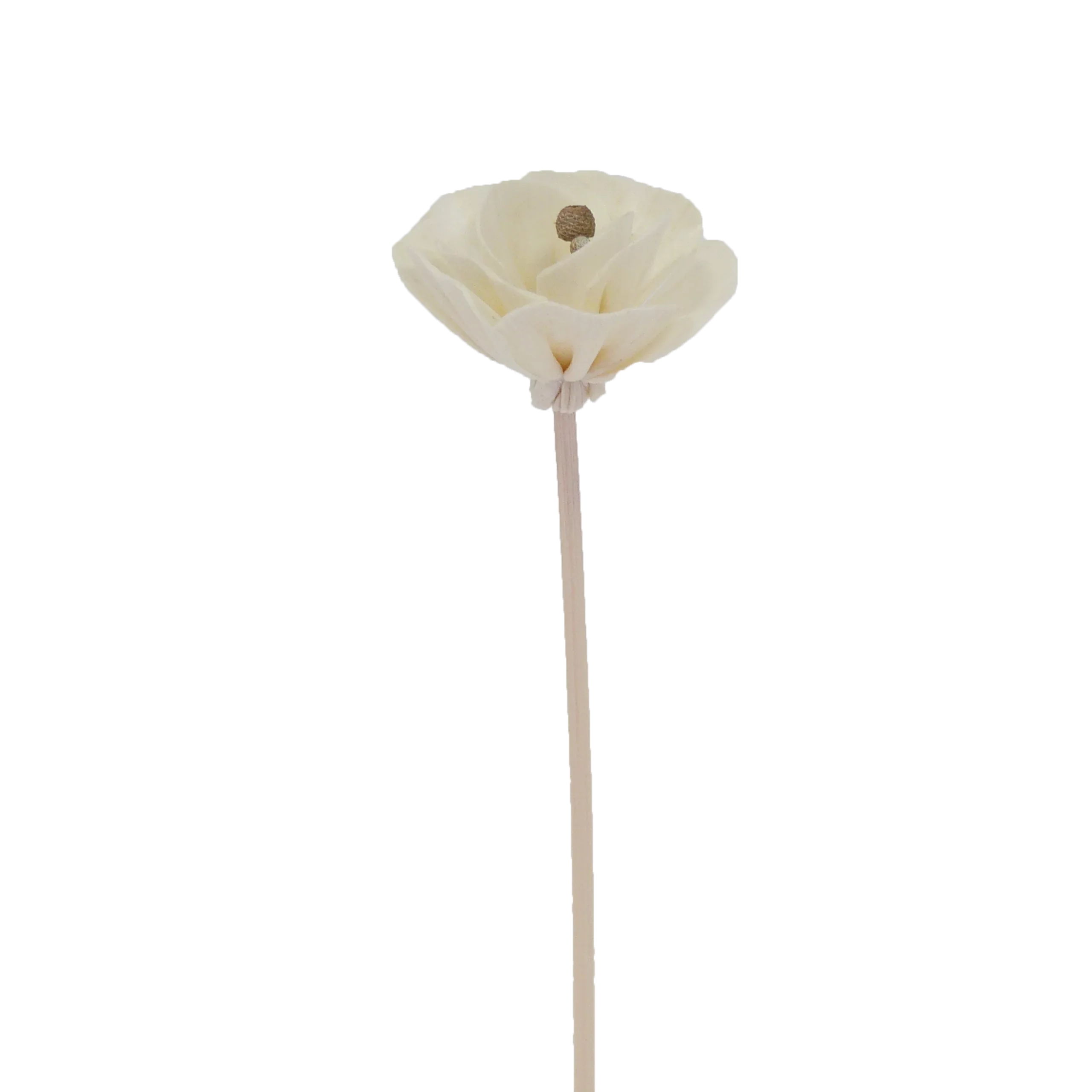 Fleur Pivoine de chine - Bâtonnet diffuseur en rotin-0